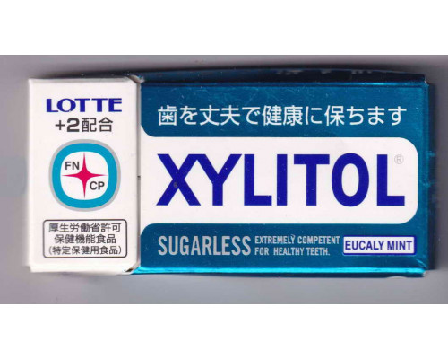 Xylitol Lotte Korea